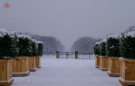 Winter im Großen Garten, mein erstes Digitalfoto